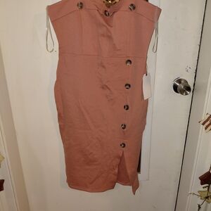 Sleeveless Rust Button-Front Sheath Dress
